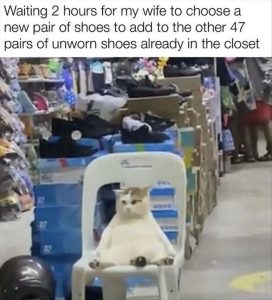 Stupid Bar Memes zsasfunnys31