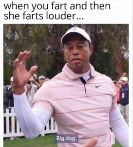Stupid Bar Memes zsasfunnys55
