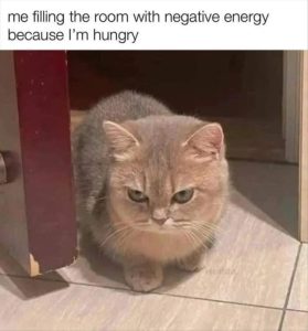 Stupid Bar Memes zsasfunnys59