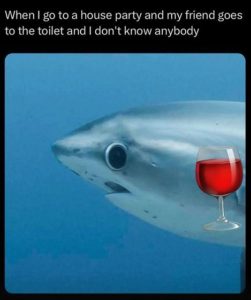 Stupid Bar Memes zsasfunnys82