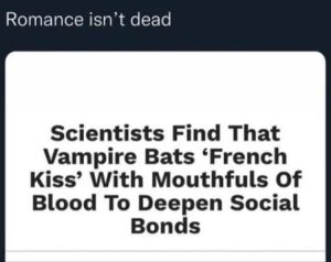 Stupid Bar Memes zsfuns10s3