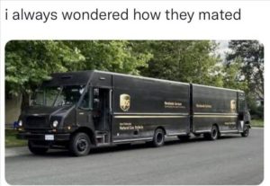 Stupid Bar Memes zsfuns129s3