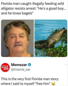 Stupid Bar Memes zsfuns15s2 1