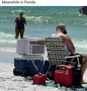 Stupid Bar Memes zsfuns161
