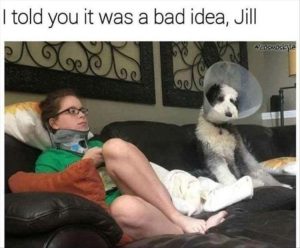 Stupid Bar Memes zsfuns172s2