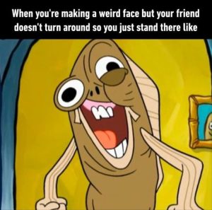 Stupid Bar Memes zsfuns176s3