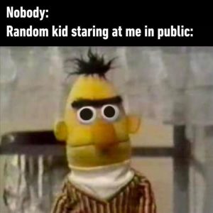Stupid Bar Memes zsfuns185s5
