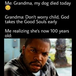 Stupid Bar Memes zsfuns188s5