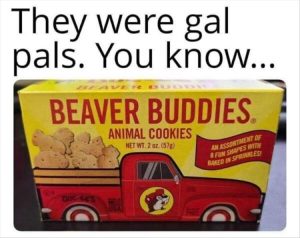 Stupid Bar Memes zsfuns20s1