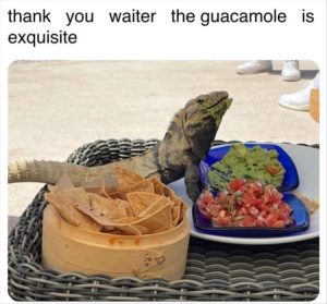 Stupid Bar Memes zsfuns216