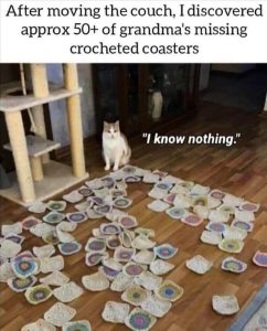 Stupid Bar Memes zsfuns259s2