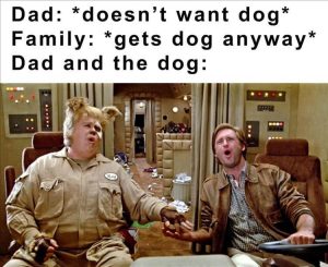 Stupid Bar Memes zsfuns269s1
