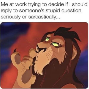 Stupid Bar Memes zsfuns2s1