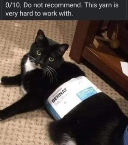 Stupid Bar Memes zsfuns341