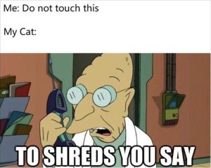 Stupid Bar Memes zsfuns386s1