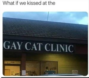 Stupid Bar Memes zsfuns3s1