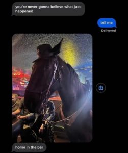 Stupid Bar Memes zsfuns429s1