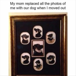 Stupid Bar Memes zsfuns435