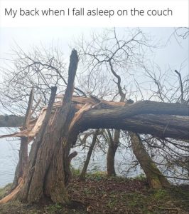 Stupid Bar Memes zsfuns436s1