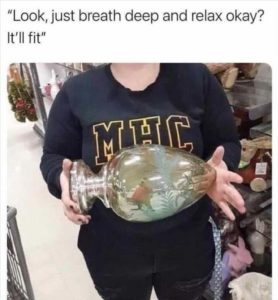 Stupid Bar Memes zsfuns44s4