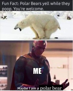 Stupid Bar Memes zsfuns471