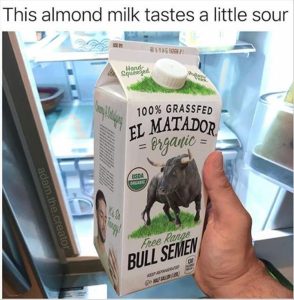 Stupid Bar Memes zsfuns79s2