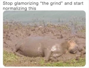 Stupid Bar Memes zsfuns85s1