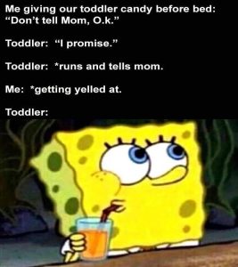 Stupid Bar Memes zsfuns94s4