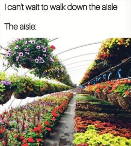 Stupid Bar Memes zsfuns9s3