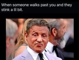 Stupid Bar Memes zsmemerss17