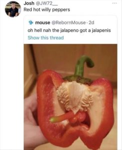 Stupid Bar Memes zsmemess211s1