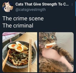 Stupid Bar Memes zsmemess362