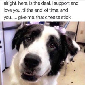 Stupid Bar Memes zsmemess445