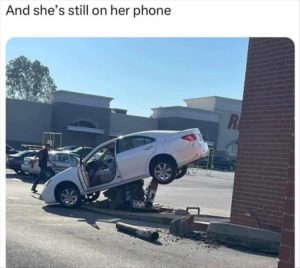 Stupid Bar Memes zsnfunsn189sn4