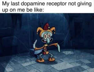 Stupid Bar Memes zsnfunsn52sn1