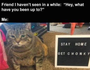 Stupid Bar Memes zsnfunsn64sn4