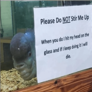 Stupid Bar Memes 020924ssermeme11s618x617