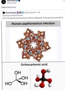 Stupid Bar Memes 020924ssermeme71s618x850
