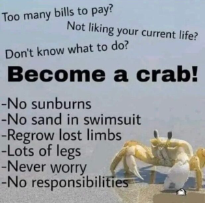 Stupid Bar Memes 040924ssermeme57s618x610