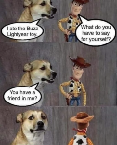 Stupid Bar Memes 0529c0d9328ffa96