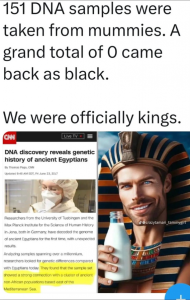 Stupid Bar Memes 09634e1f0da77710