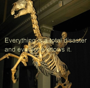 Stupid Bar Memes 170924ssermeme5s618s604