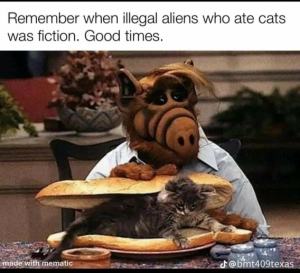 Stupid Bar Memes 18c52d979dfe006f