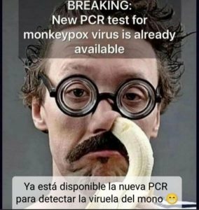 Stupid Bar Memes 19f7c131ea9579ff
