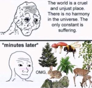 Stupid Bar Memes 230924ssermeme2s768x736