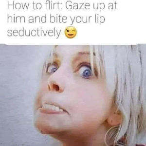 Stupid Bar Memes 3565c99c747a88a3