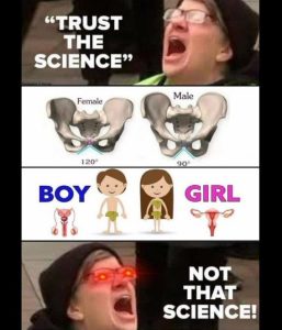 Stupid Bar Memes 3579c8aa7eeefeb6