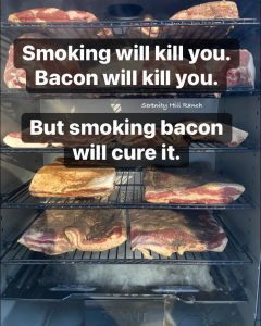 Stupid Bar Memes 459024940164989519sn