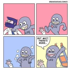 Stupid Bar Memes 461189150s122172337952159107s2023674902729705998sn