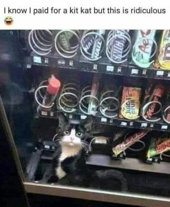 Stupid Bar Memes 47a176e556d58d5f